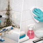 cum-sa-eliminati-rapid-si-permanent-mucegaiul-de-pe-gresia.png